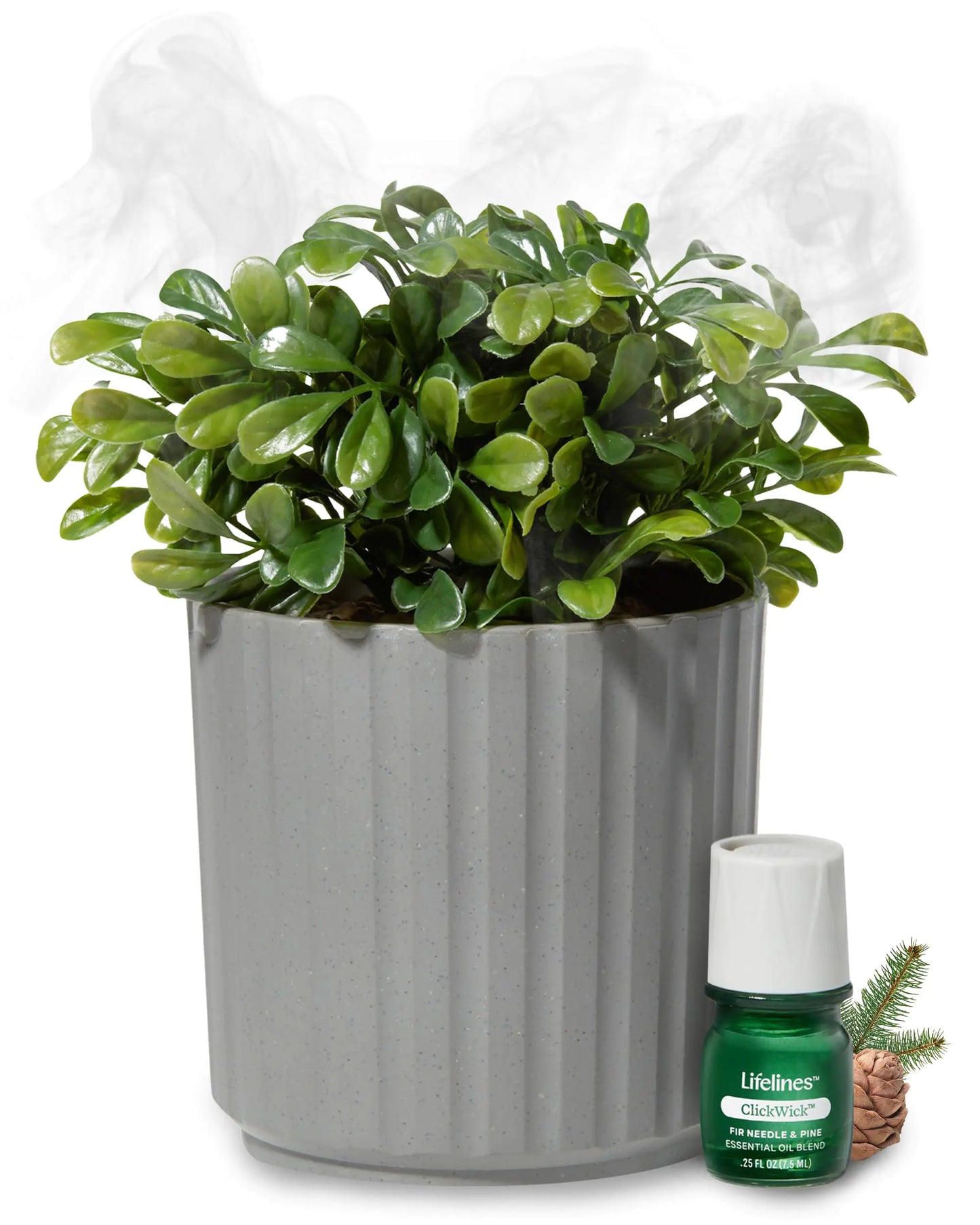 Lifelines Plant Diffuser with Modern Planter Boxwood - Rechargeable Aromatherapy Diffuser Artificial Faux Plants Home & Office - ClickWick Essential Oil Blend Included