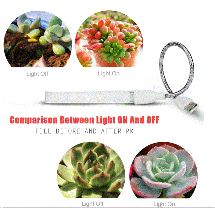 Plant Led Light For Speed Growing