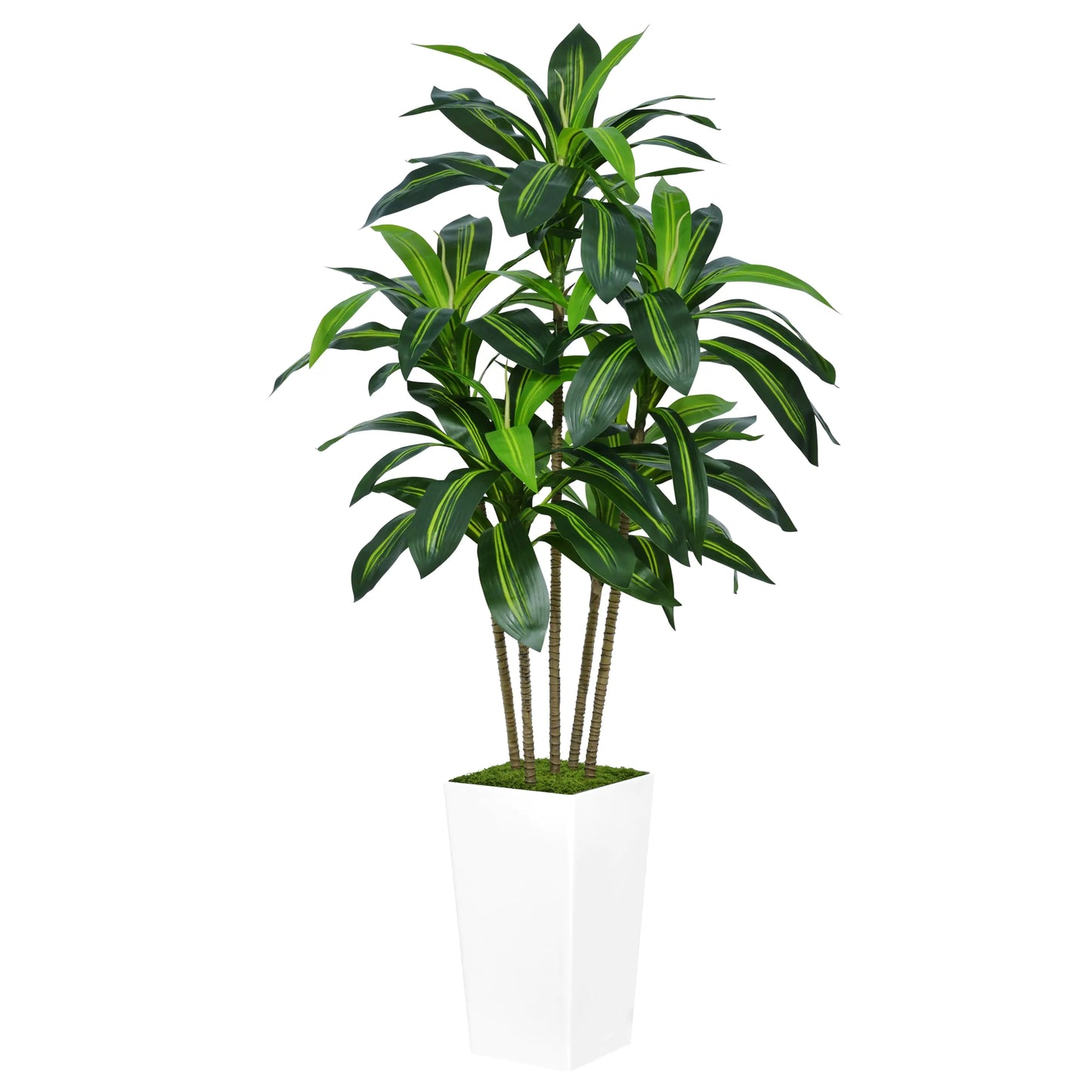 ASTIDY Artificial Dracaena Tree 5FT - Faux Tree with White Tall Planter - Fake Tropical Yucca Floor Plant in Pot - Artificial Silk Tree for Home Office Living Room Decor Indoor