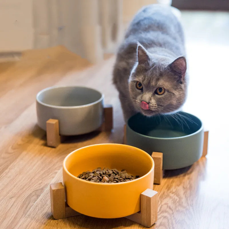 Ceramic Anti-Flip Bowl For Pets