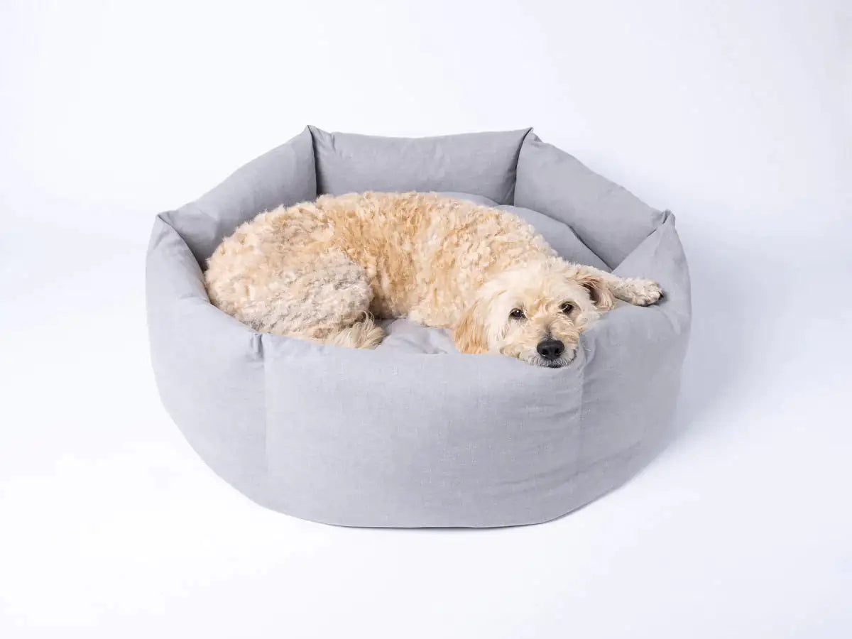 Cozy Paws Calming Dog Bed