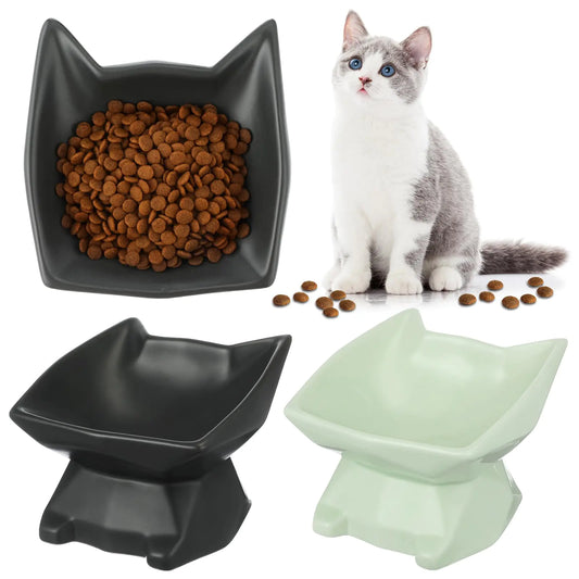 Teenyyou 2 Pcs Ceramic Elevated Cat Bowl Tilted Elevated Bowls Raised Cat Food Bowl Shallow Tilted Bowls and Dishes Anti Vomit Dog Kitten Food Dishes Pet for Protecting Pets Spine