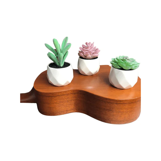 Set Of Our "Sonoran Desert" Decorative Succulent Plants In Ceramic Pot - 3 Pieces