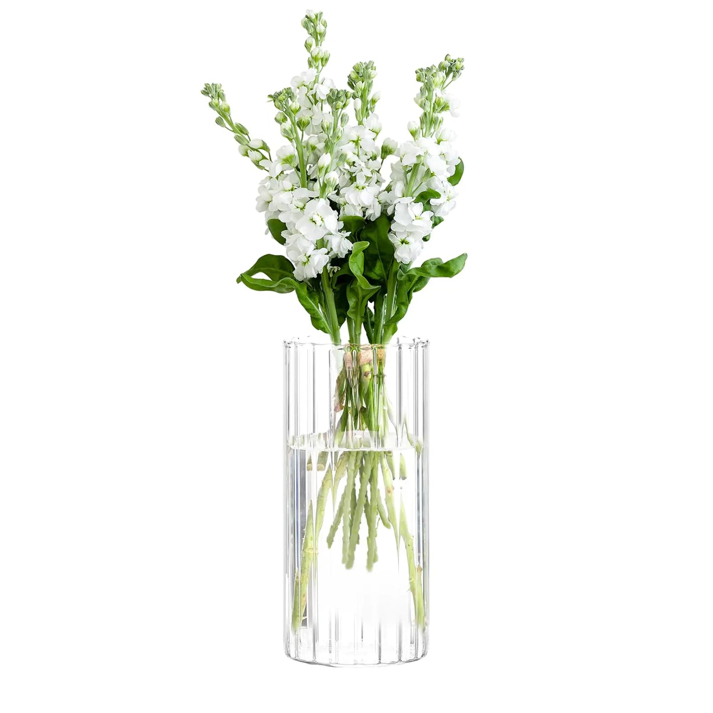 Gute 10 Inch Glass Vases for Decor Flower Vase for Home Decor Modern Decorative Clear Vase Centerpieces Living Room Kitchen