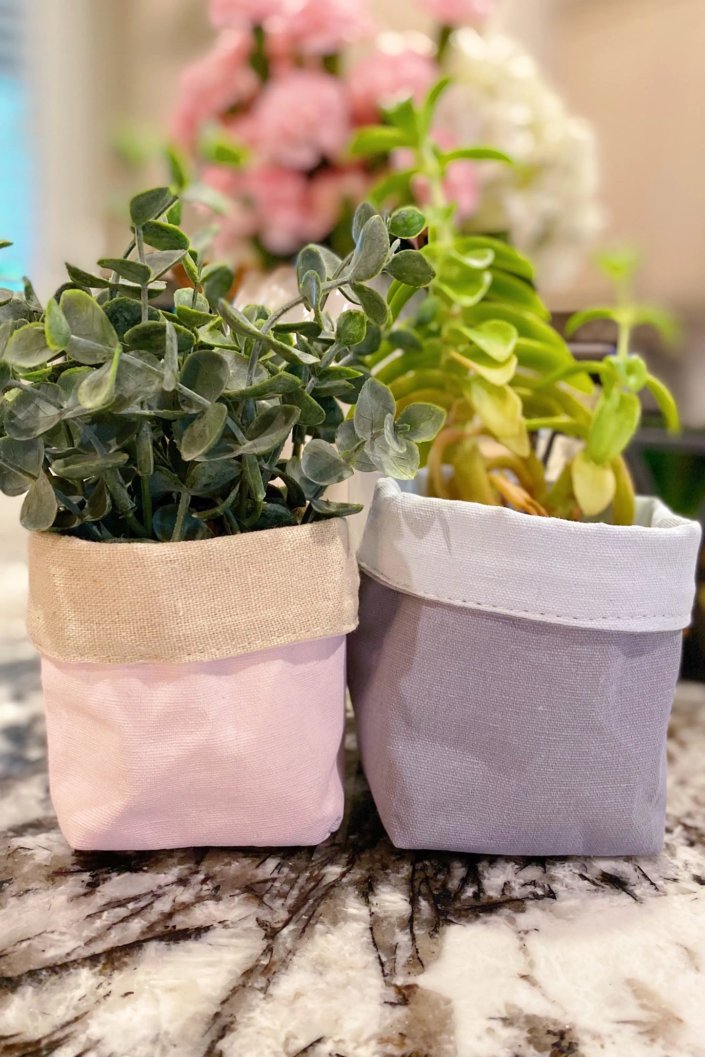 Pastel Tone Reversible Plant Covers