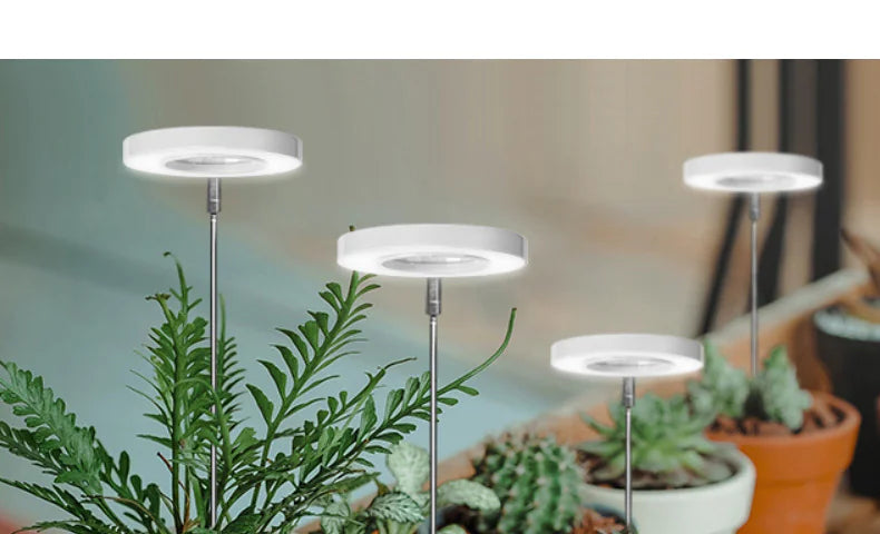 Angel Ring Plant Lamp