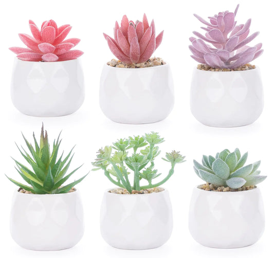 Lemonfilter Mini Artificial Succulents Plants Fake Small Greenery Plastic Faux Red and Green Grass Potted Plants Decorative Fake Plant for House Office Balcony Desk Bathroom DecorationSet of 6