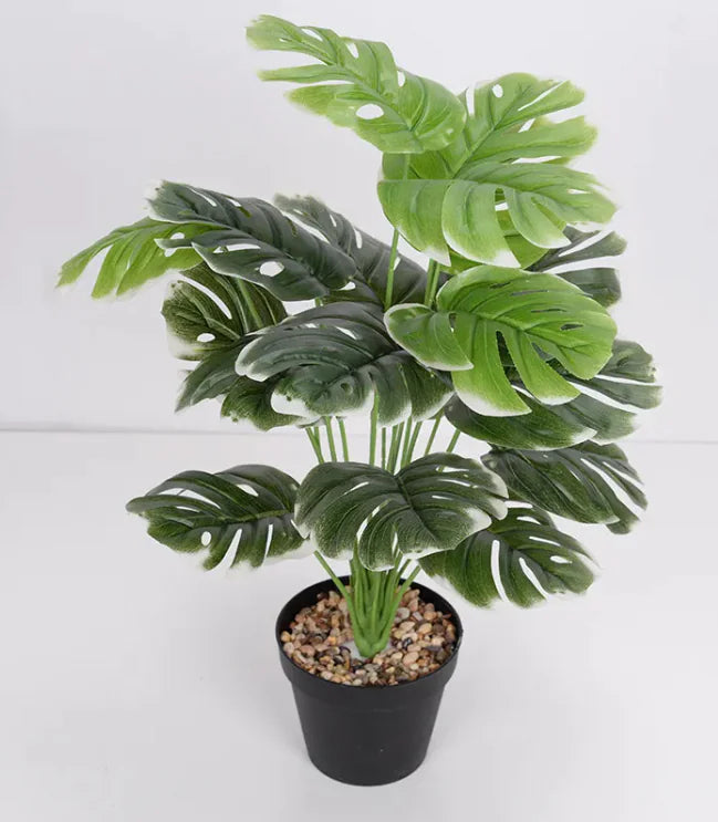 Artificial Flower Green Plant Monstera Plant Flower Indoor