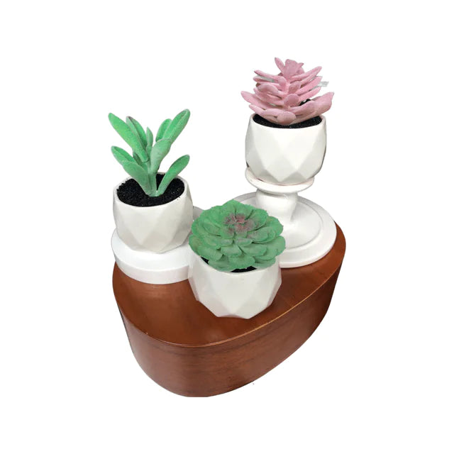 Set Of Our "Sonoran Desert" Decorative Succulent Plants In Ceramic Pot - 3 Pieces