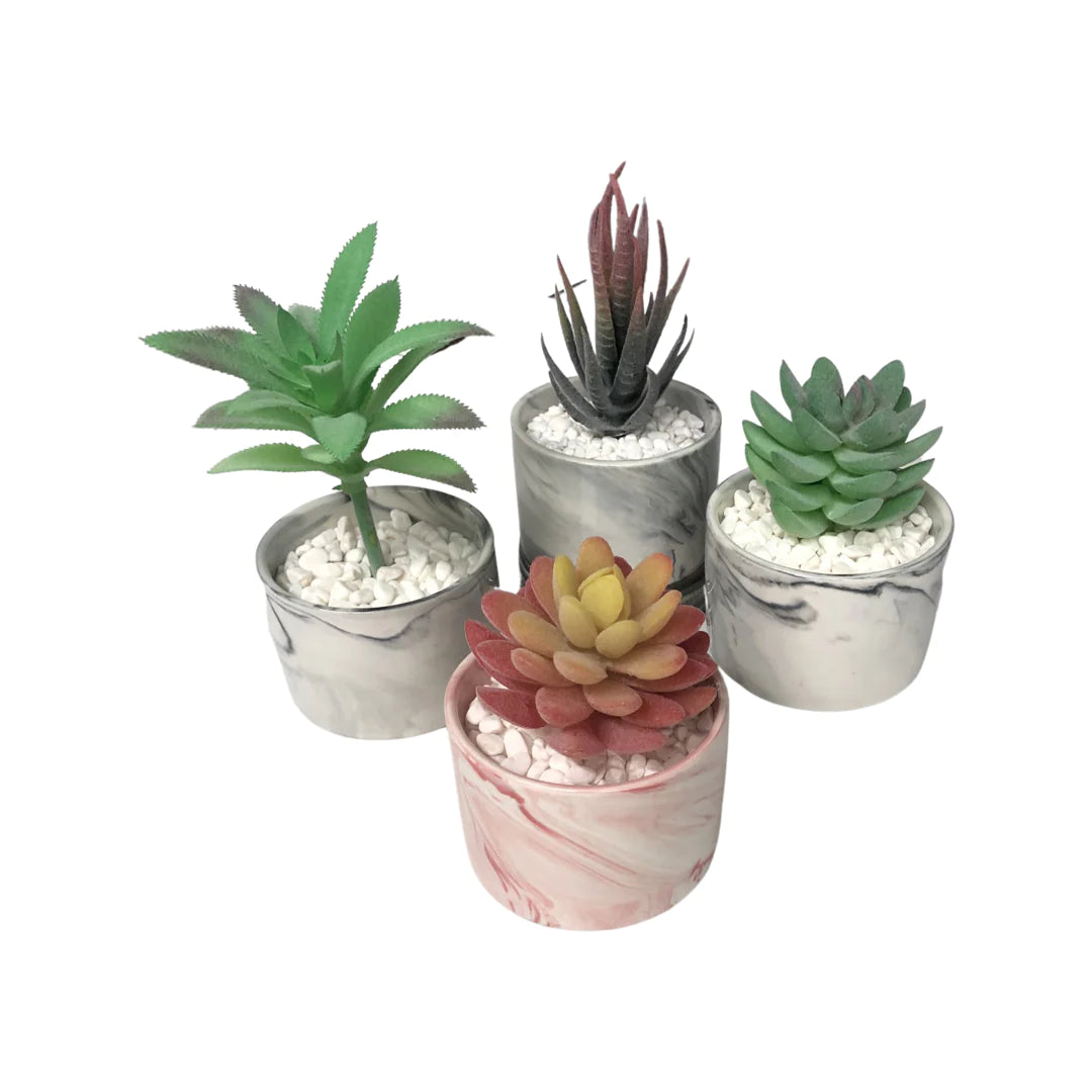 Set Of Our "Mojave Desert" Decorative Succulent Plants In Marbalized Ceramic Pot - 4 Pieces