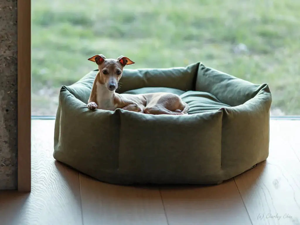 Cozy Paws Calming Dog Bed