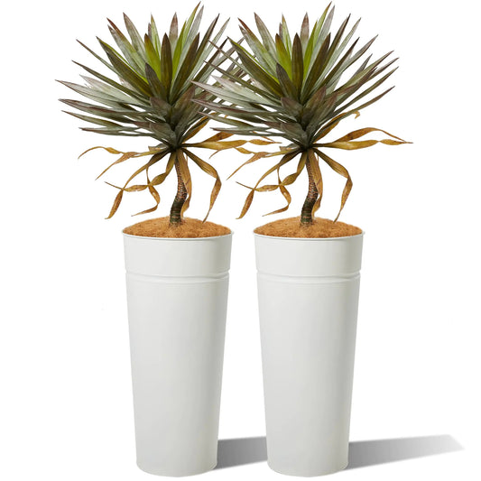 KOL 4.2FT 2-Pack Artificial Yucca Tree with Galvanized Steel White Planter 51 Realistic Tropical Dracaena Fake Faux Silk Succulent Agave Plant Home Office Living Porch Room Indoor Outdoor Decor