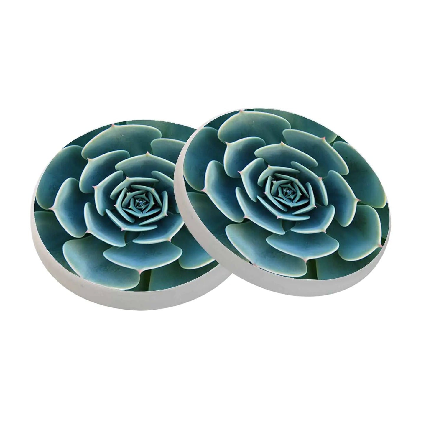 oFloral Green Succulent Coasters for Drinks Cute Plump Rustic Cups Place Mats for Home Decor Set of 2 4 Inch