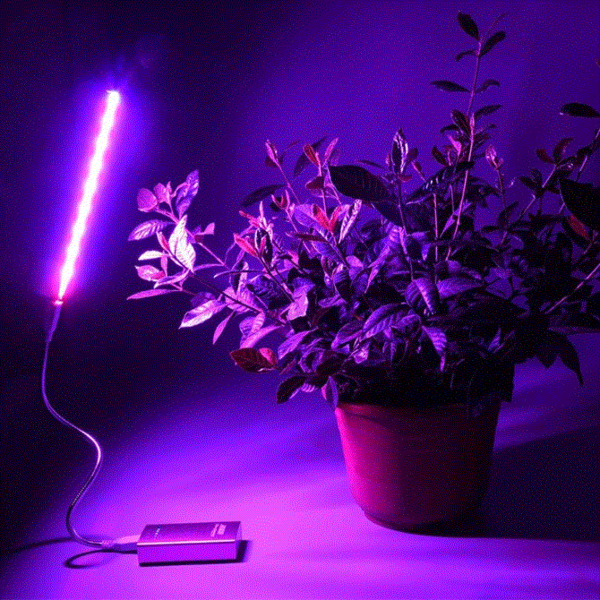 Plant Led Light For Speed Growing