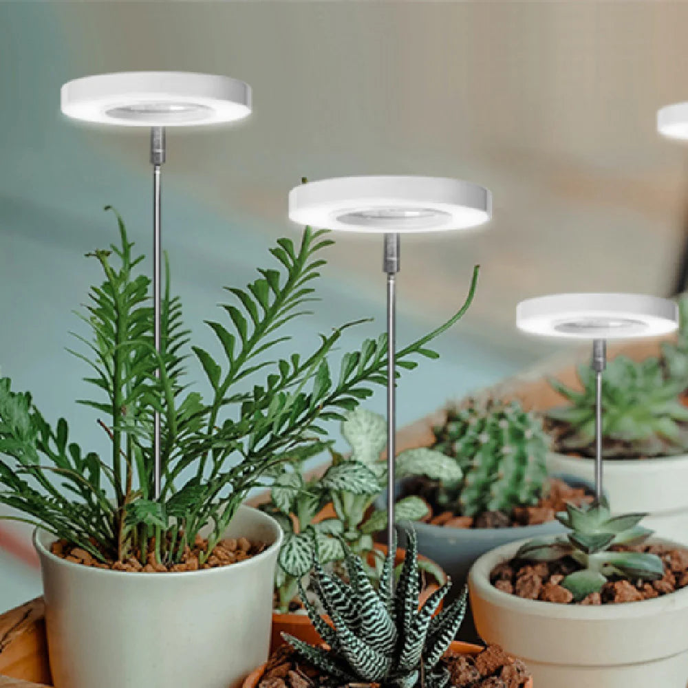 Angel Ring Plant Lamp