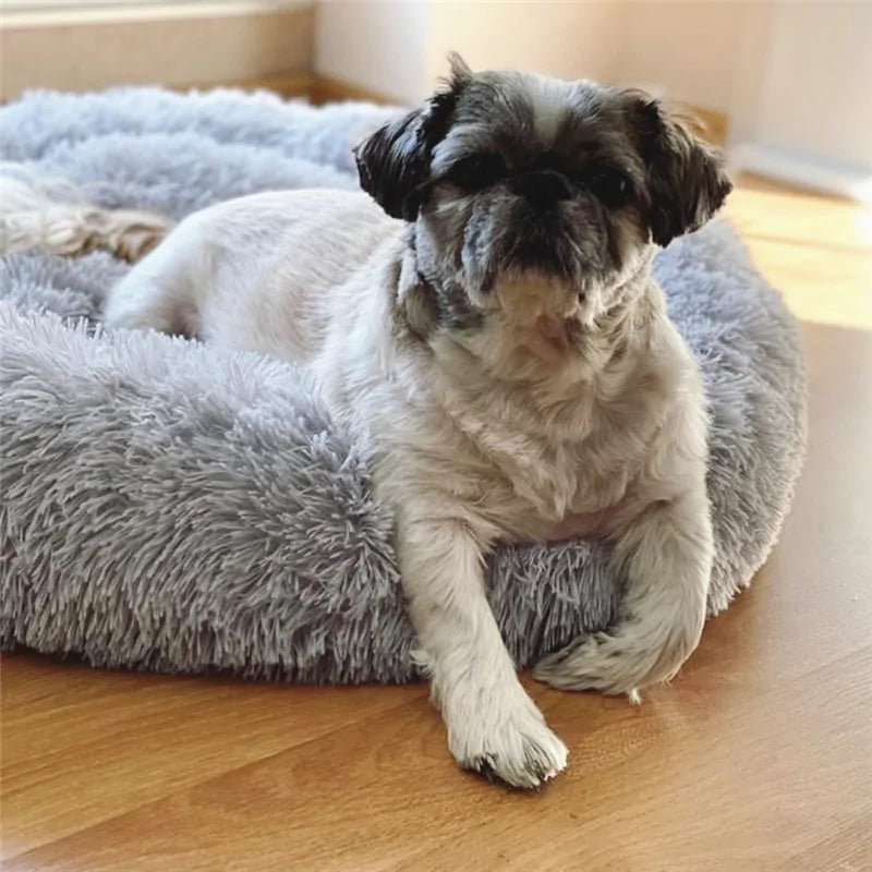 Plush Round Dog Bed