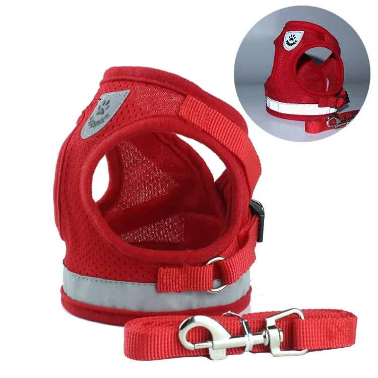 Secure Reflective Harness Set For Small Pets